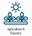 Screenshot 2026-01-31 025053